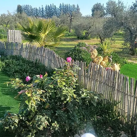 Casa Halcon
