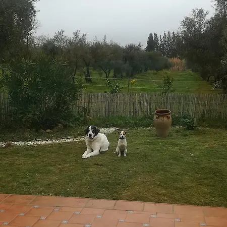 Farm stay Casa Halcon *